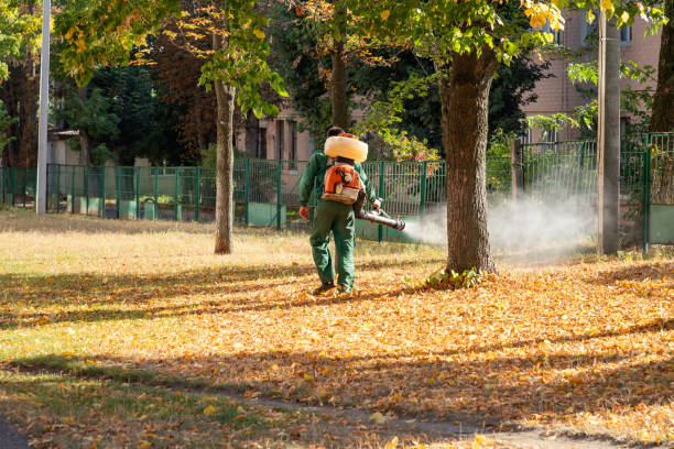 Best Spider Control Near Me  in Springfield, OH