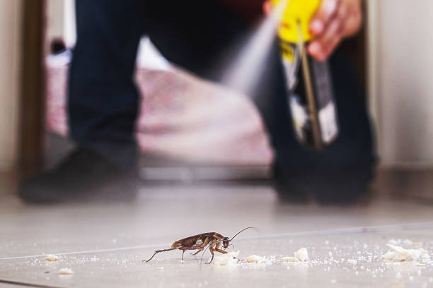 Trusted Springfield, OH Pest Control Experts