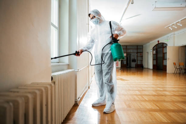 Pest Prevention Services in Springfield, OH